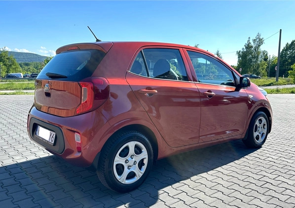 Kia Picanto cena 42900 przebieg: 35100, rok produkcji 2019 z Kraków małe 529